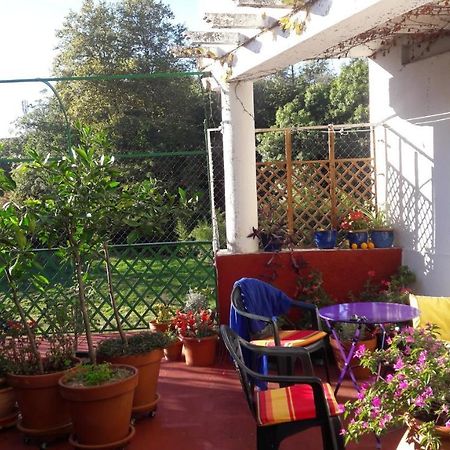 Les Camelias Bed & Breakfast Mazamet Exterior photo