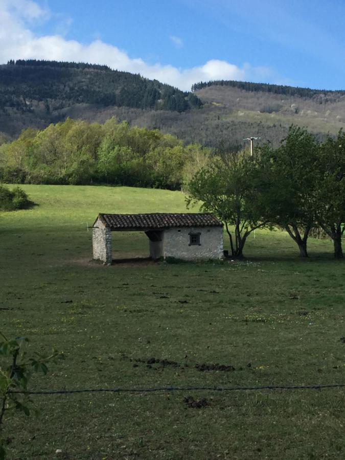 Les Camelias Bed & Breakfast Mazamet Exterior photo